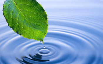 water drop falling off a leaf